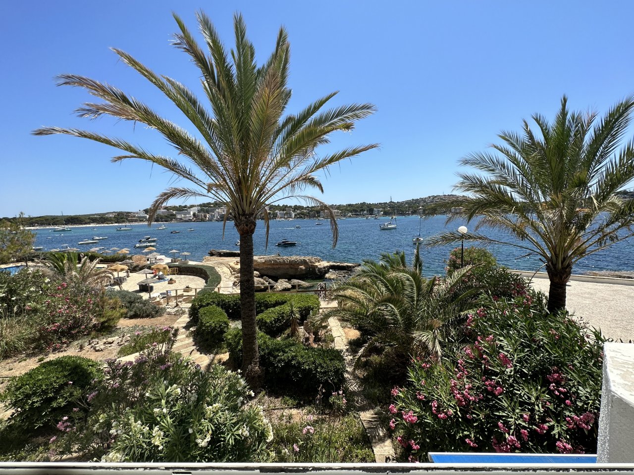 Modern flat in Santa Ponsa in first sea line with pool