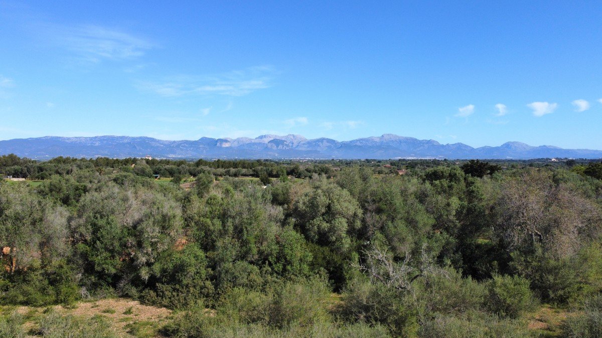 Construction project for modern villa with fantastic pool garden area and far-reaching views in Sencelles