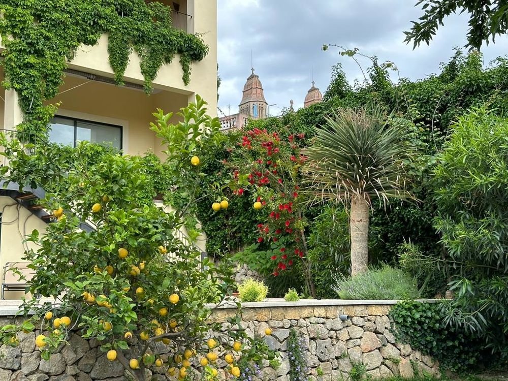 Preciosa casa en el mágico entorno de la Sierra de Tramuntana