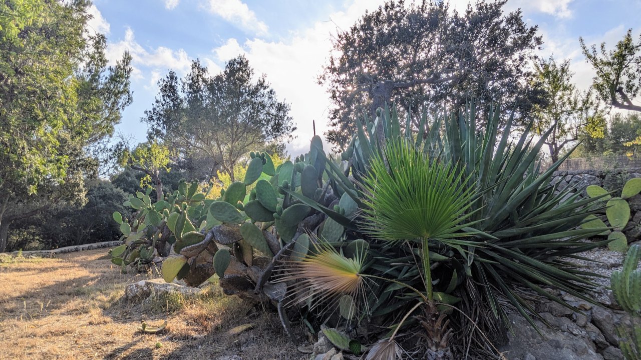 Idyllische Finca mit Pool und Blick bis auf die Bucht Palmas
