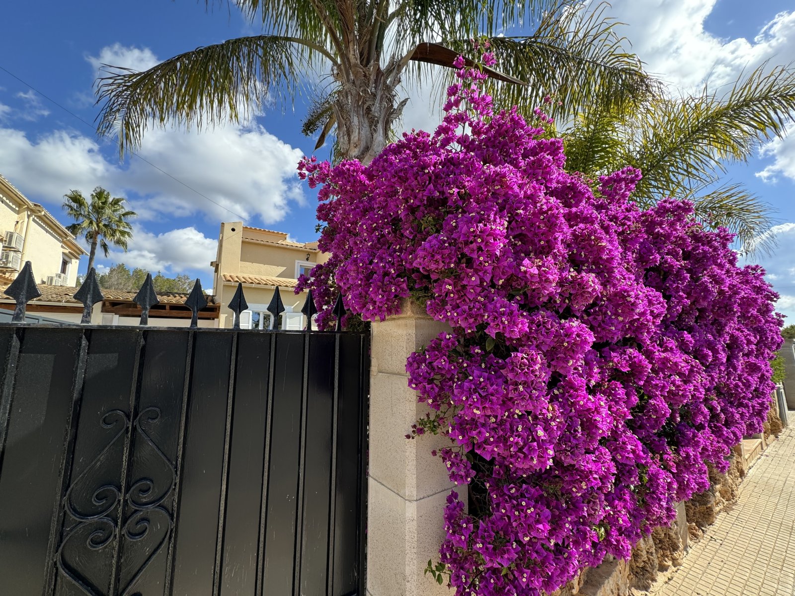Maison individuelle privée dans un endroit calme avec piscine et jardin méditerranéen à Son Ferrer
